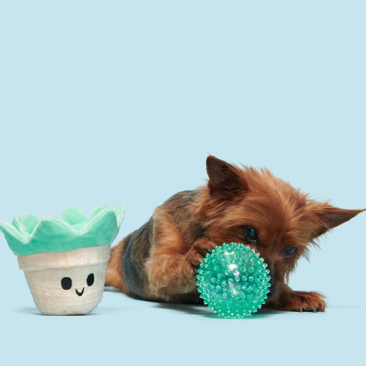 Suki Succulent Plush Multi-Part + Fetch Dog Toy