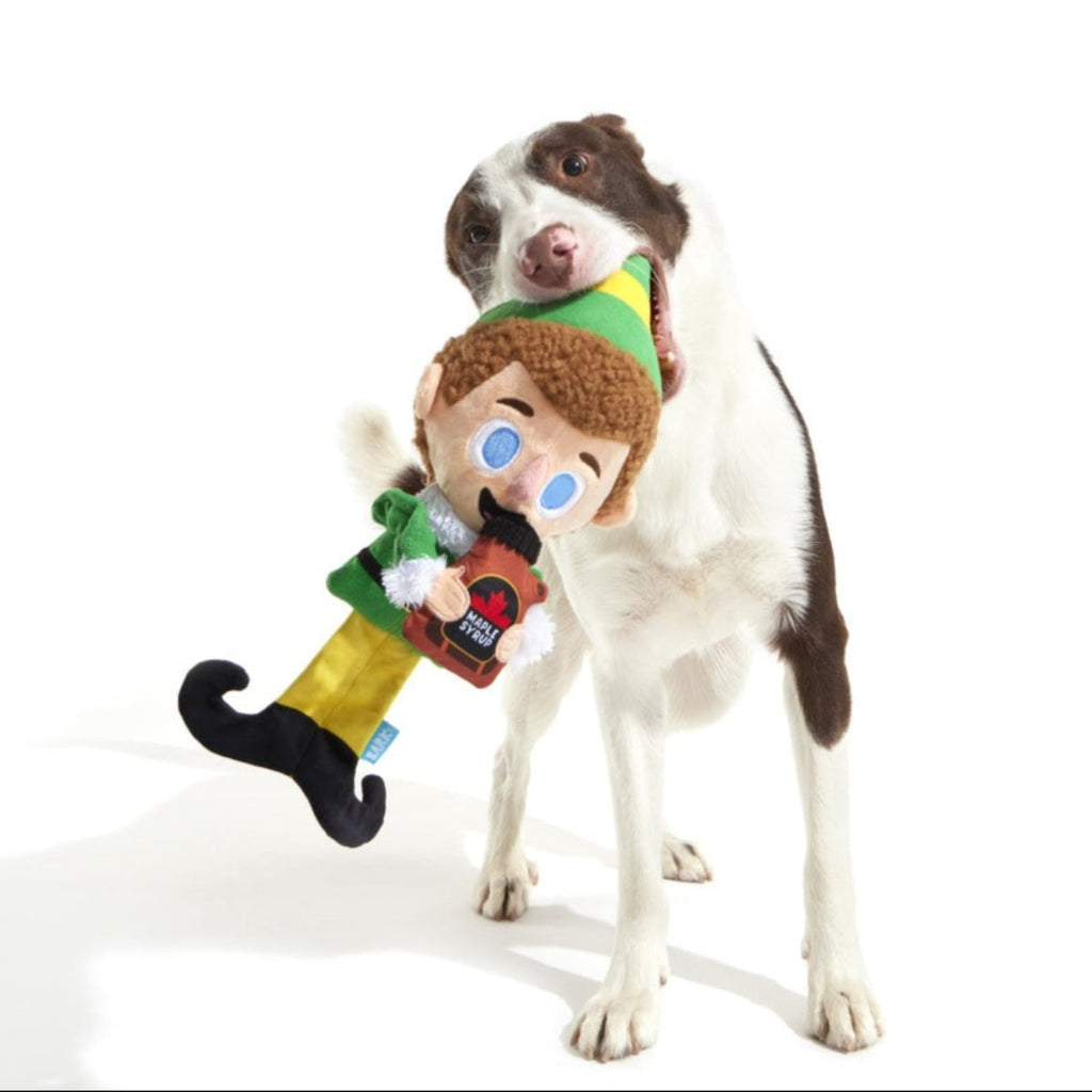 Elf Dog Toy & Treat Holiday Gift Box