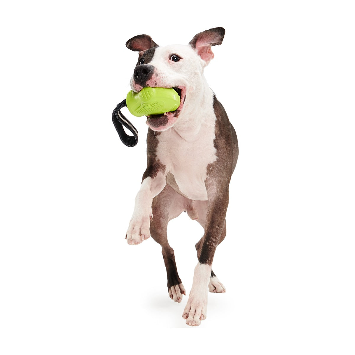 Snout Guard Super Chewer Durable Tug Dog Toy