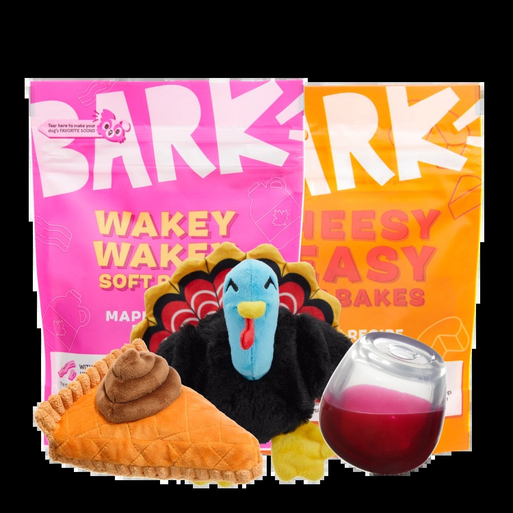 BARK 6 Month Subscription - FREE Extra Toys with Cardboard Box