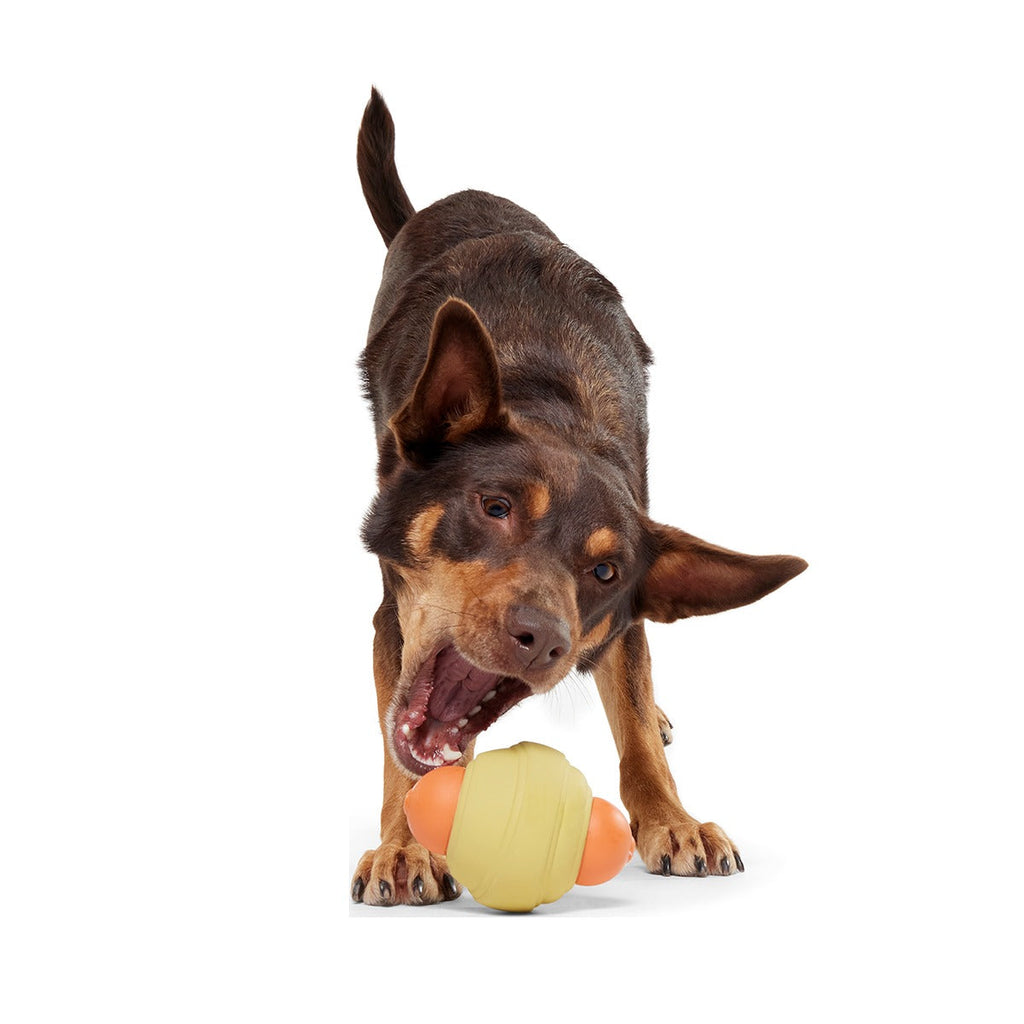 Weenie Dawg Super Chewer Durable Gnaw Dog Toy
