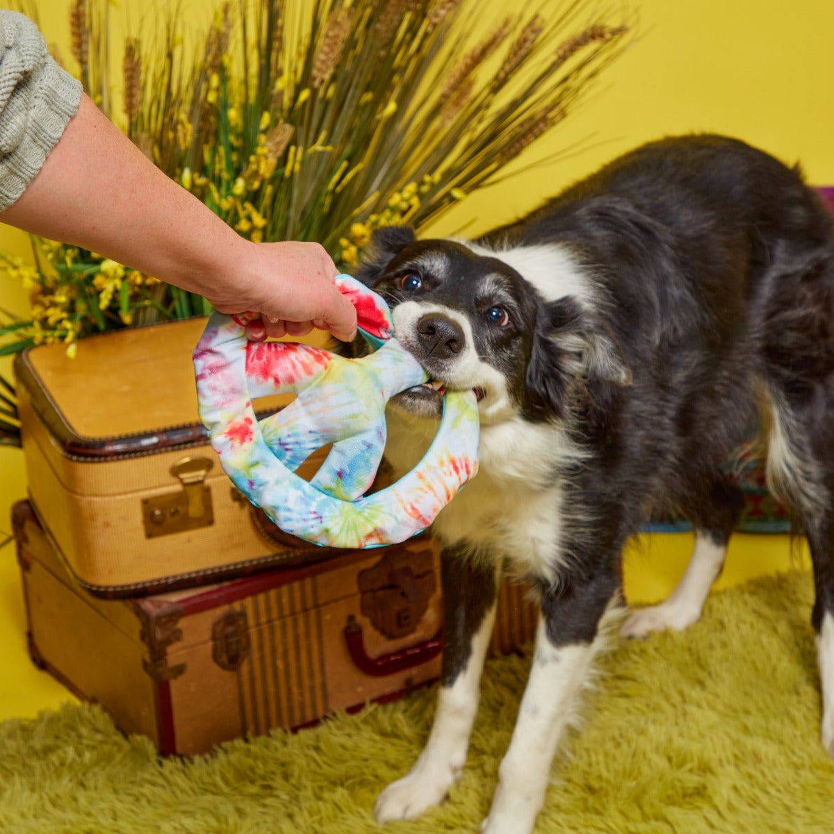 Give Peace a Tug Plush Dog Toy