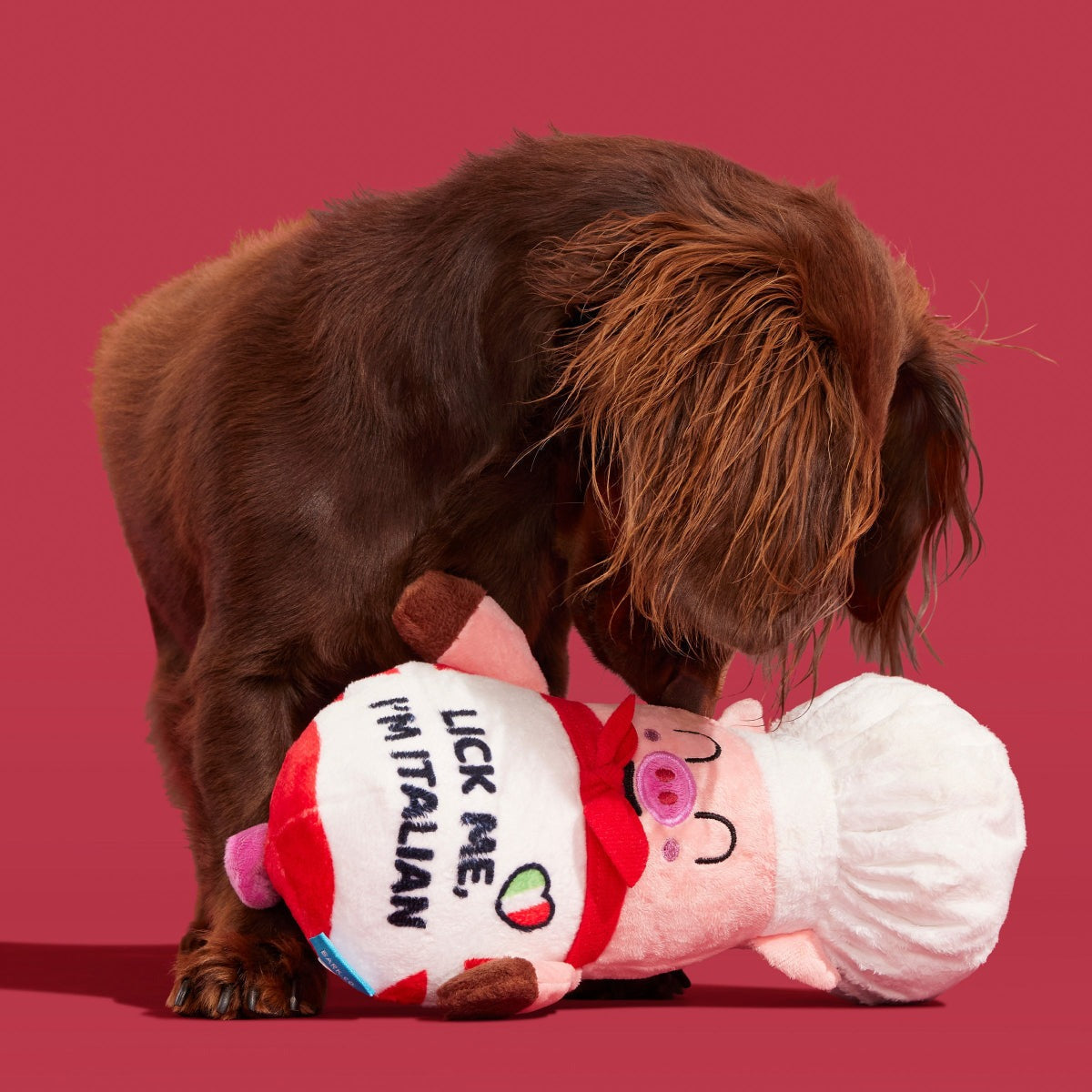 Tony Pupperoni Plush Tug Dog Toy