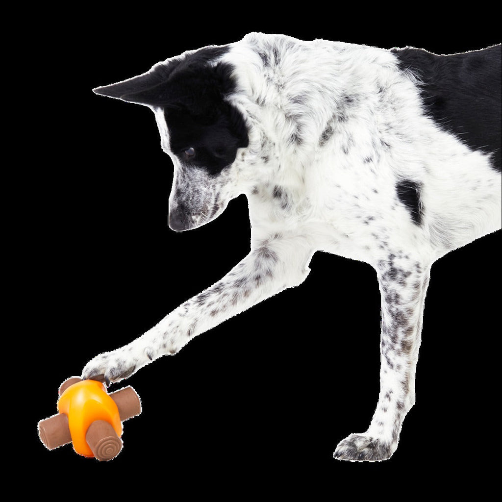 Chompfire Super Chewer Durable Gnaw Dog Toy