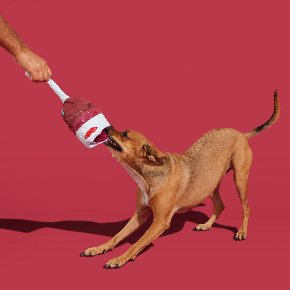 Grrrrande Vino Plush Extra-Large + Tug Dog Toy