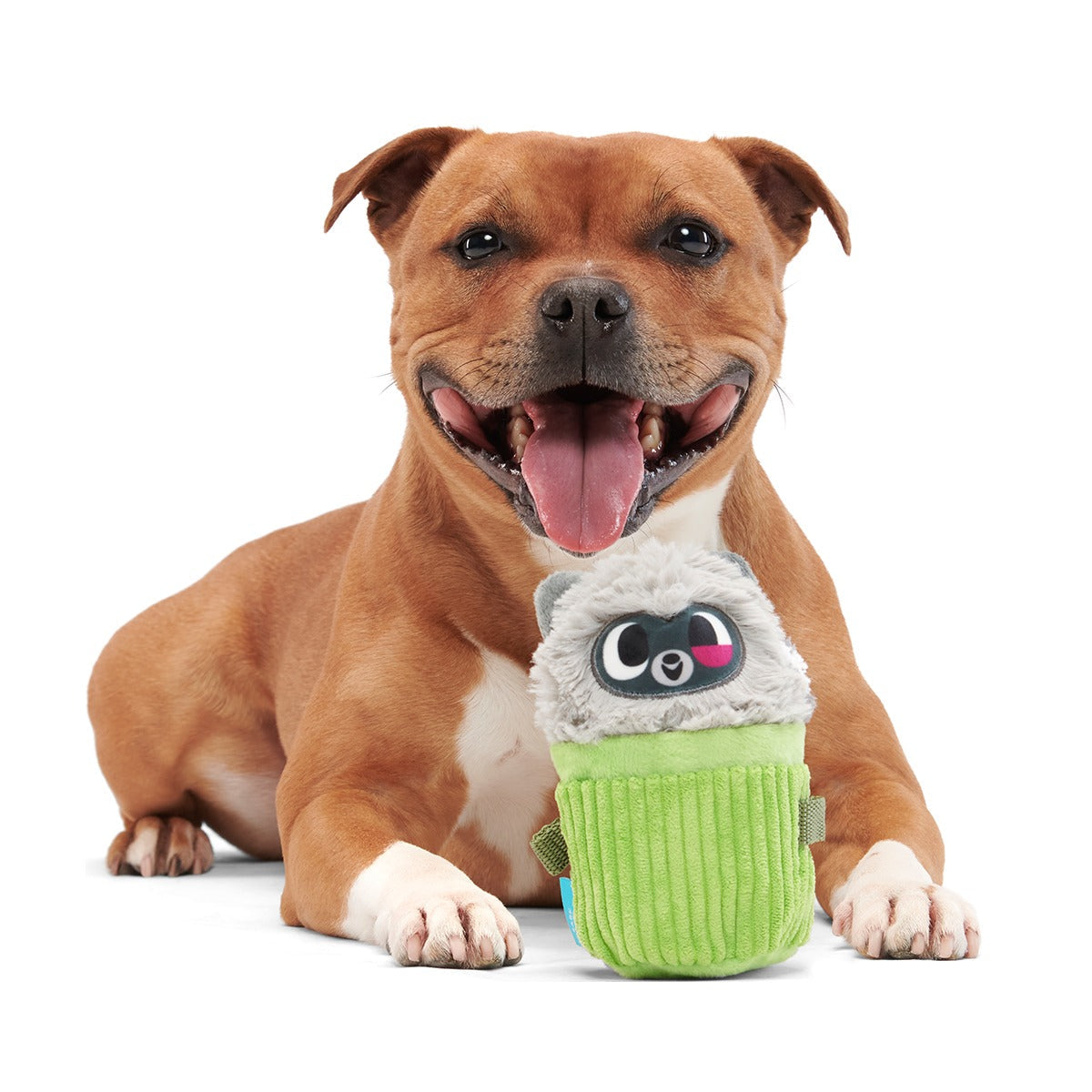 Rickie Racoon the Trash Tycoon Plush Enrichment + Multi-Part Dog Toy