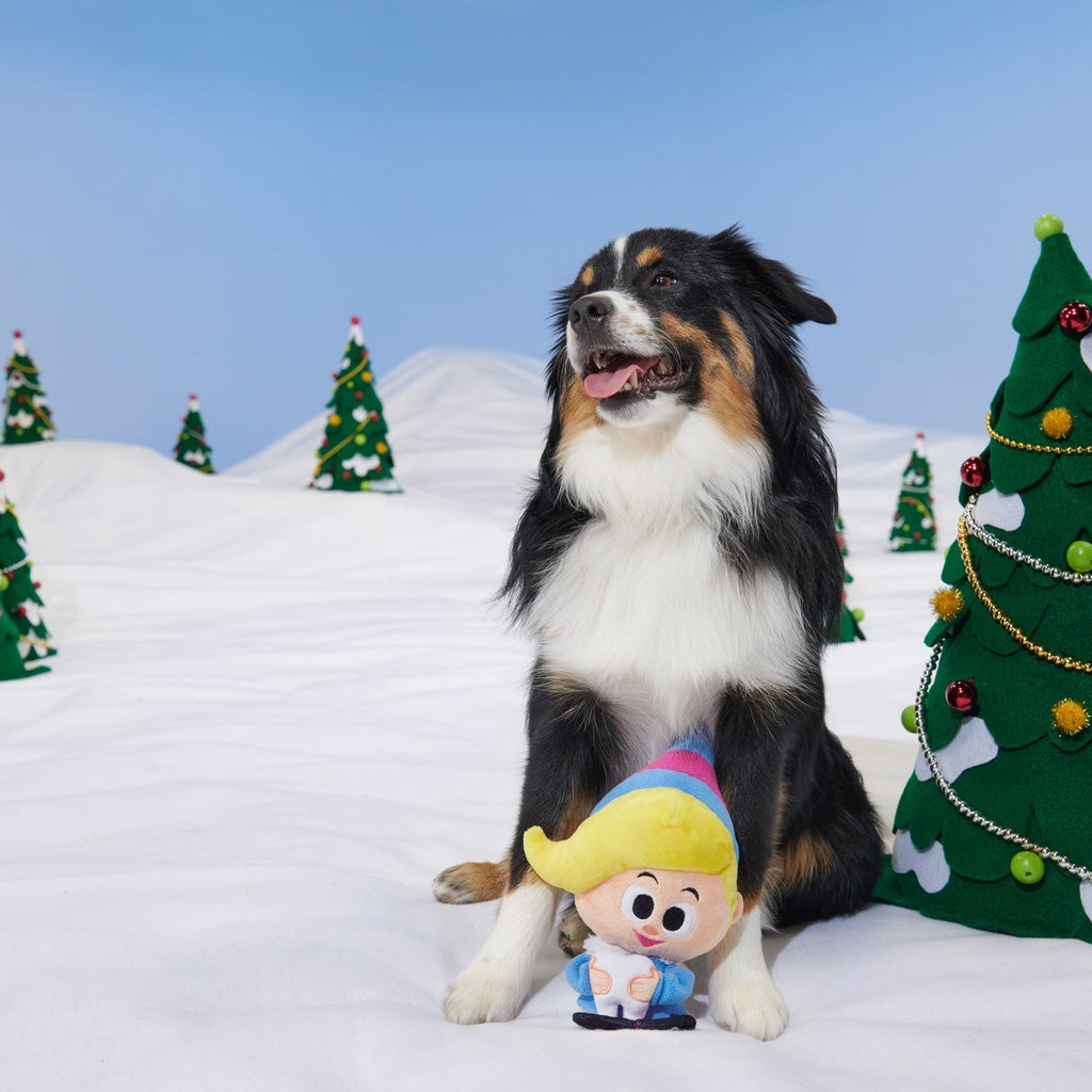 Rudolph® Holiday Gift BarkBox