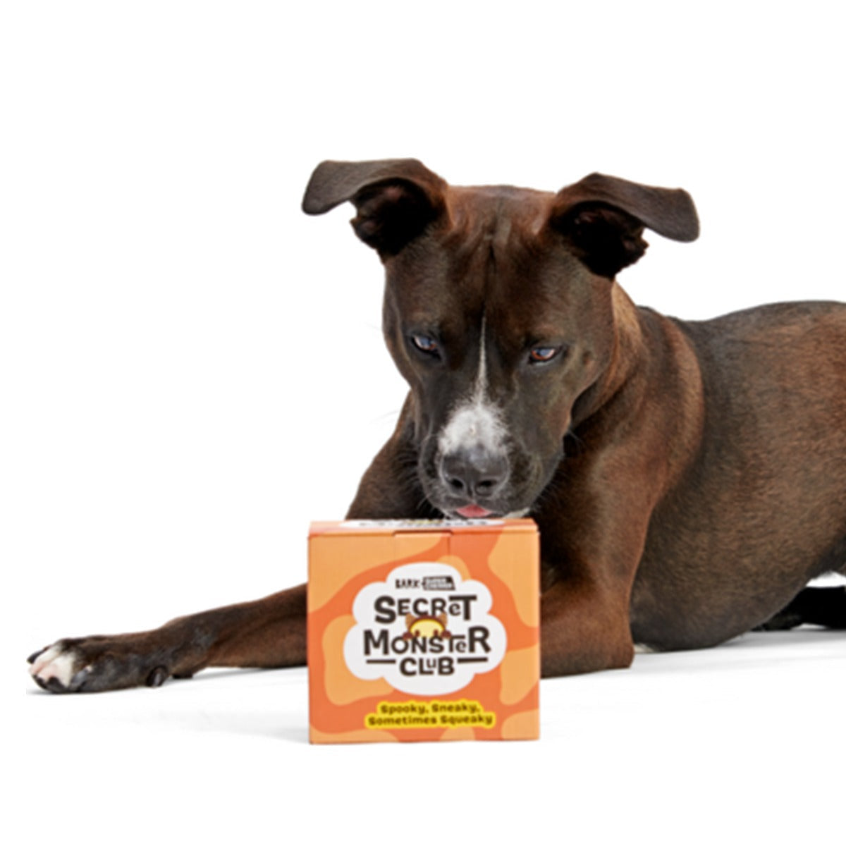 Secret Monster Club, Super Chewer Durable 2-in-1 Rip and Reveal Monthly Dog Toys