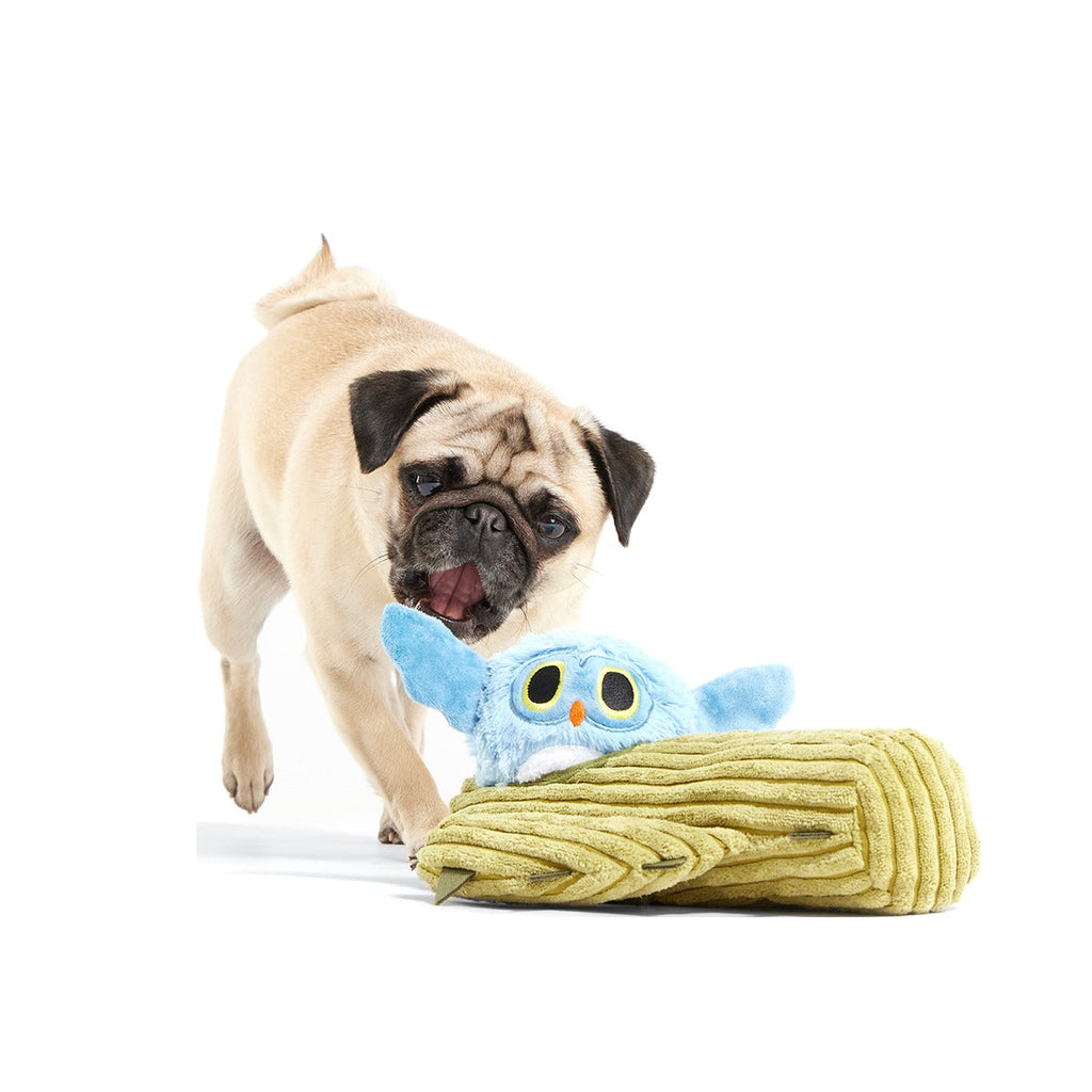 Saguaro Sammy Plush Multi-Part + Tug Dog Toy