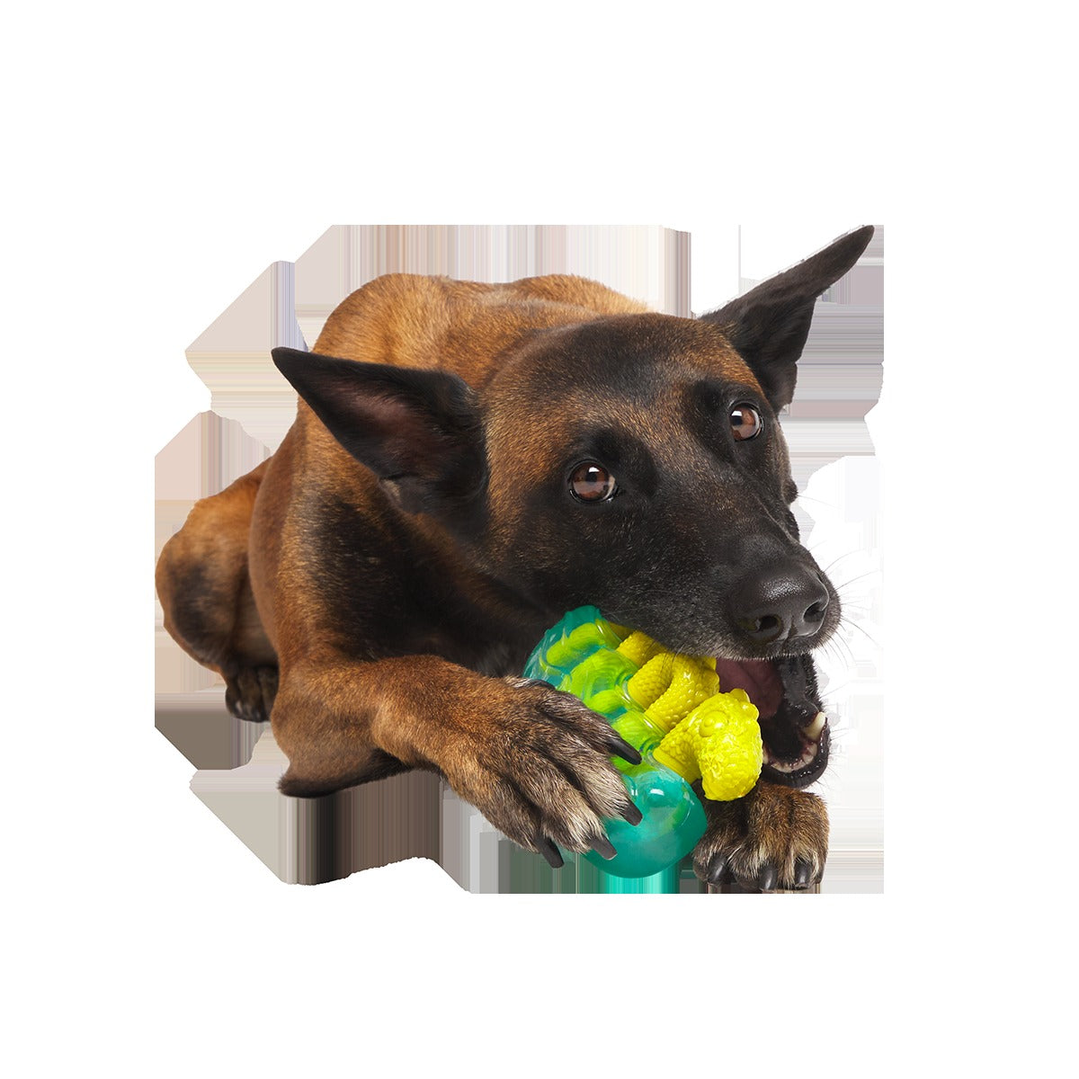 The Dogness Monster Super Chewer Durable Gnaw Dog Toy