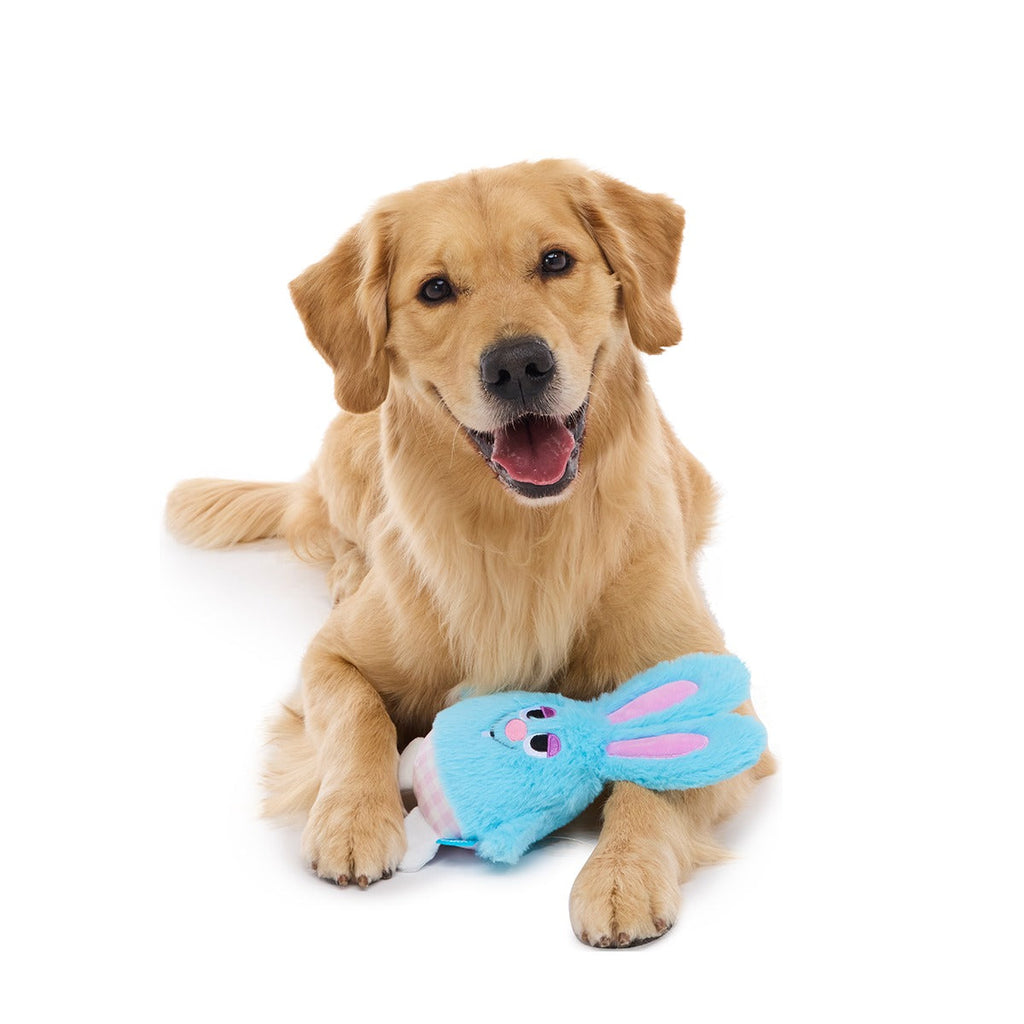Little Bun Blue Plush Tug Dog Toy