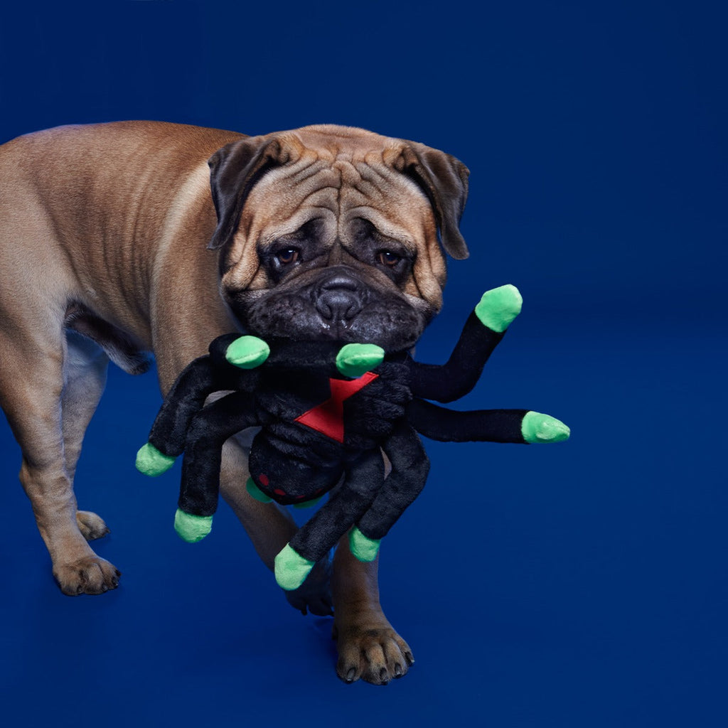 Dark Web Designer Plush Extra-Large + Tug Dog Toy