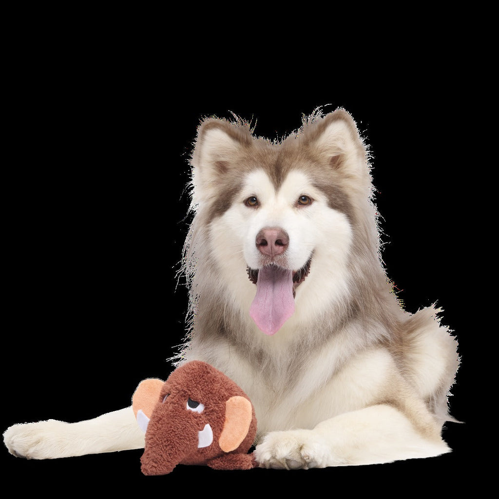 Mama Jama Mammoth Plush 2-in-1 Rip and Reveal Dog Toy