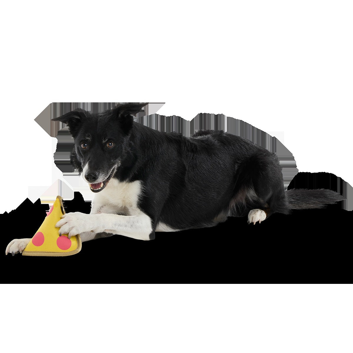 Lil Squeaker's Pizza Super Chewer Durable 2-in-1 Fetch Dog Toy