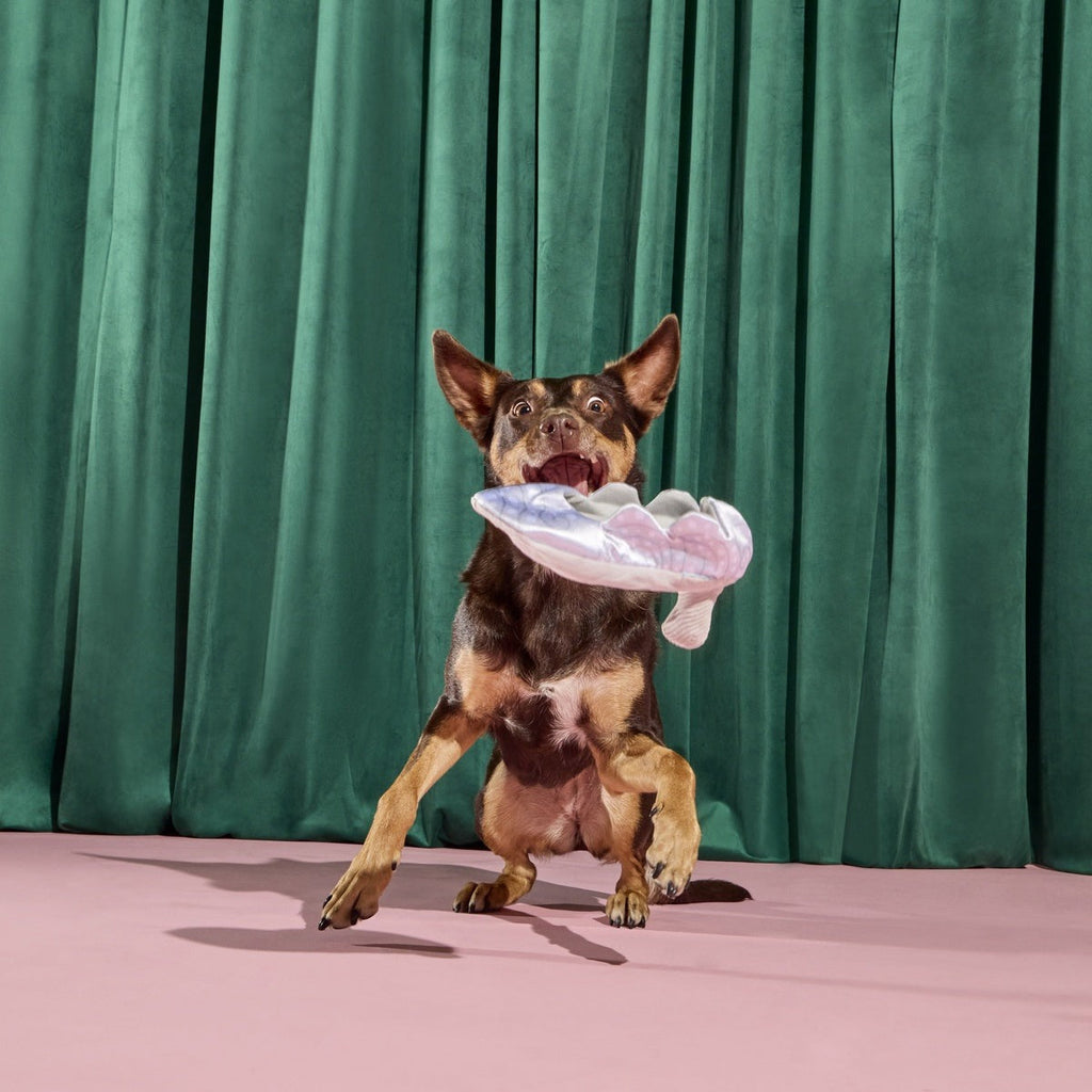 Nessa's Squeakin' Slipper Plush Enrichment Dog Toy