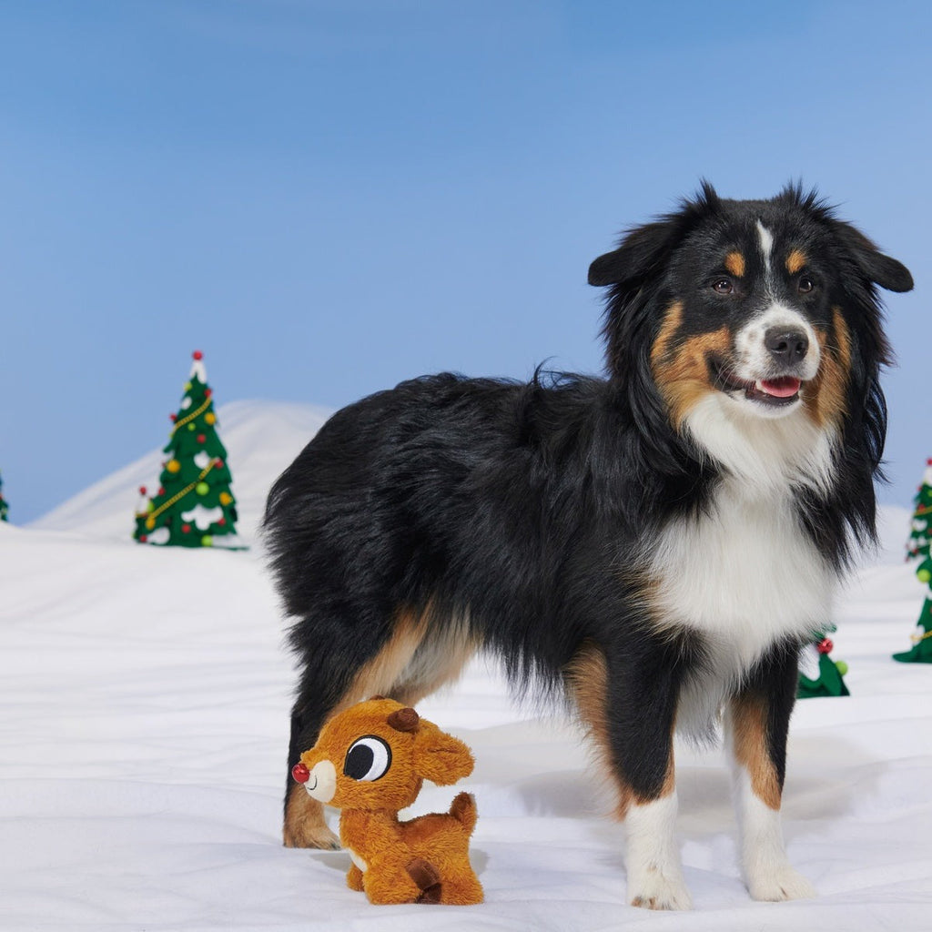 Rudolph the Red-Nosed Reindeer® Plush Tug Dog Toy