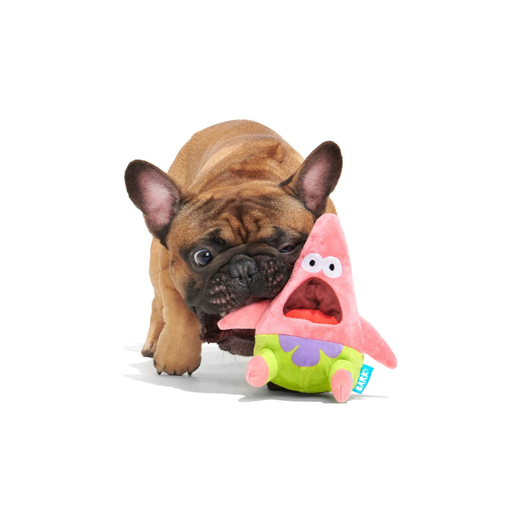 Plush SpongeBob Bundle