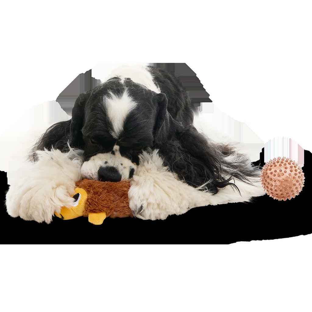 Spike the Ball Hog Plush Multi-Part + Fetch Dog Toy