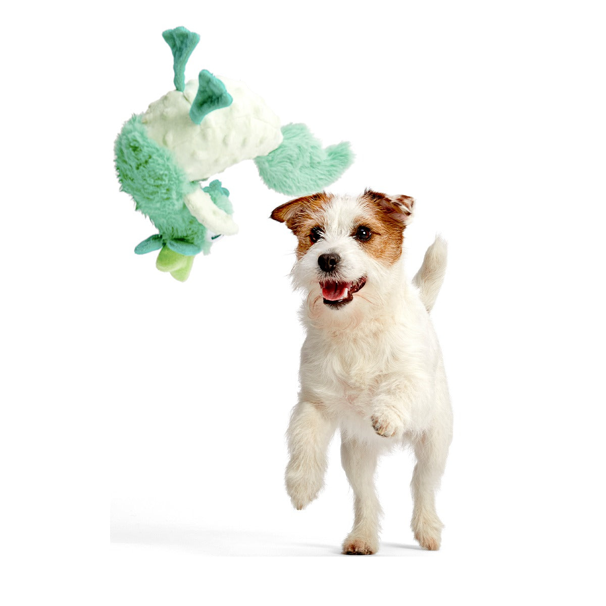 Poultrygeist Plush Tug Dog Toy