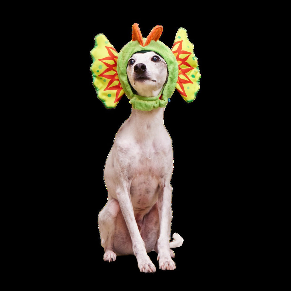 Spittin' Image Dino Collar Plush Wearable Dog Toy