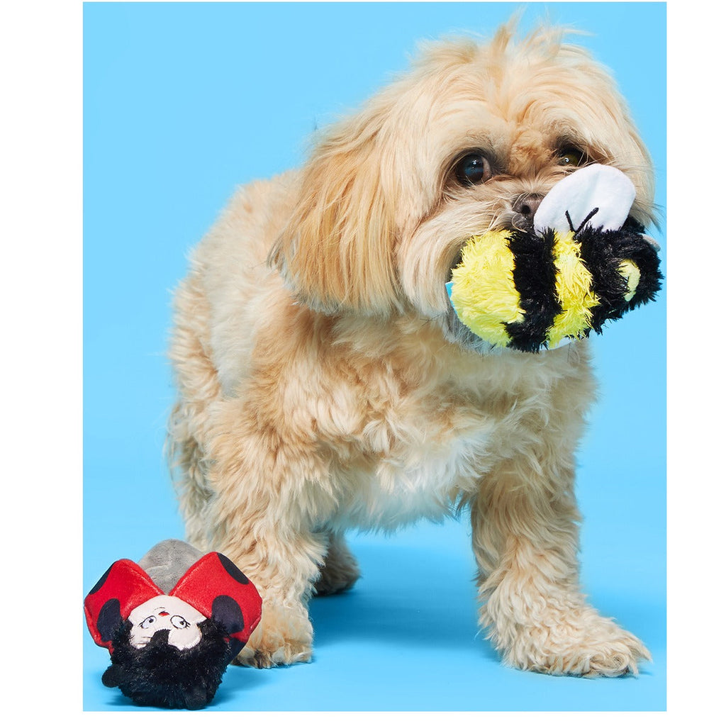 Simone & Jean-Paul The Love Bugs Plush Multi-Part + Fetch Dog Toy
