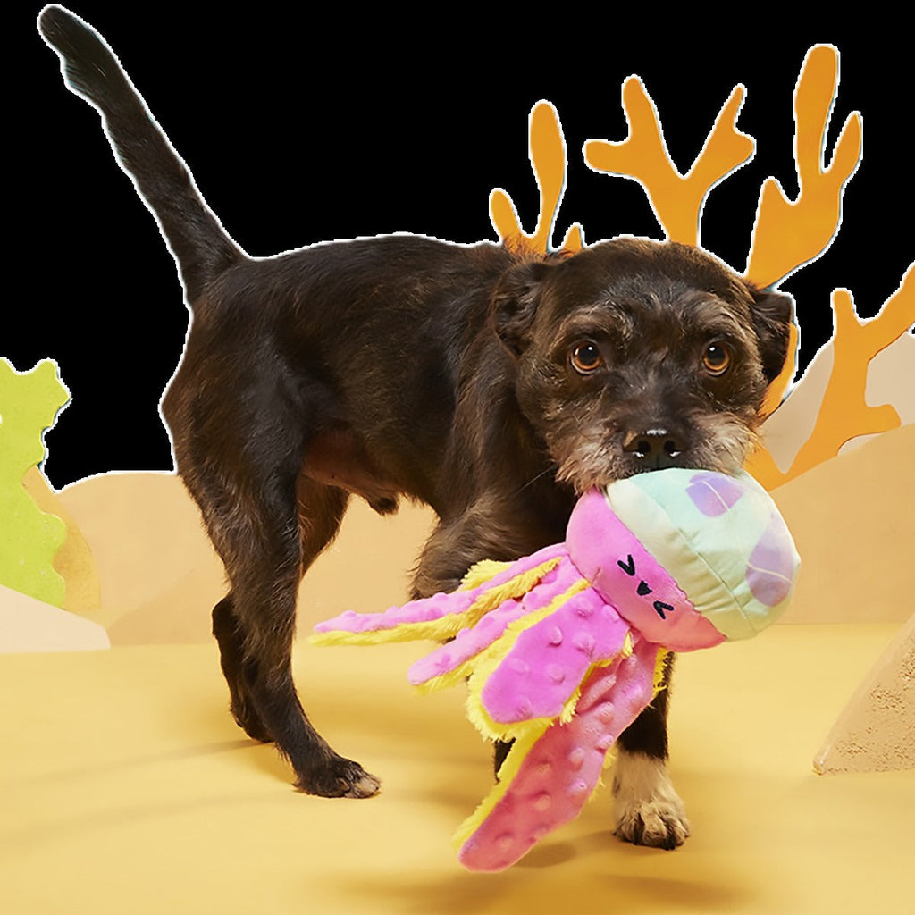 Jellysquish Plush Tug Dog Toy