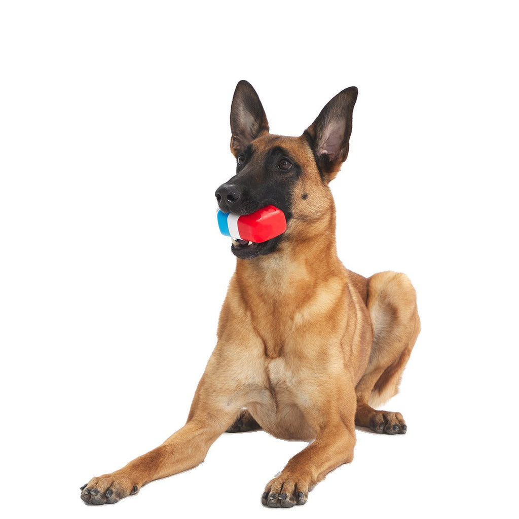 Red White + Chew Ice Pop Super Chewer Durable Gnaw Dog Toy