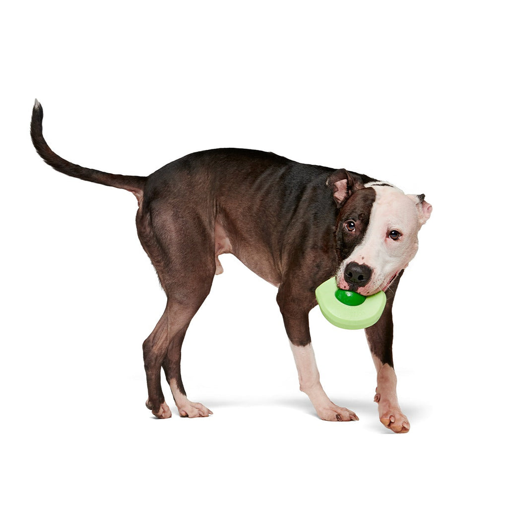 Green Egg Super Chewer Durable Gnaw Dog Toy