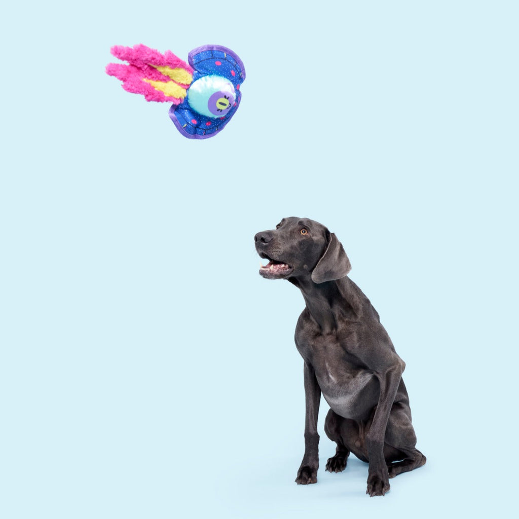 Blast Arf! Plush Tug Dog Toy