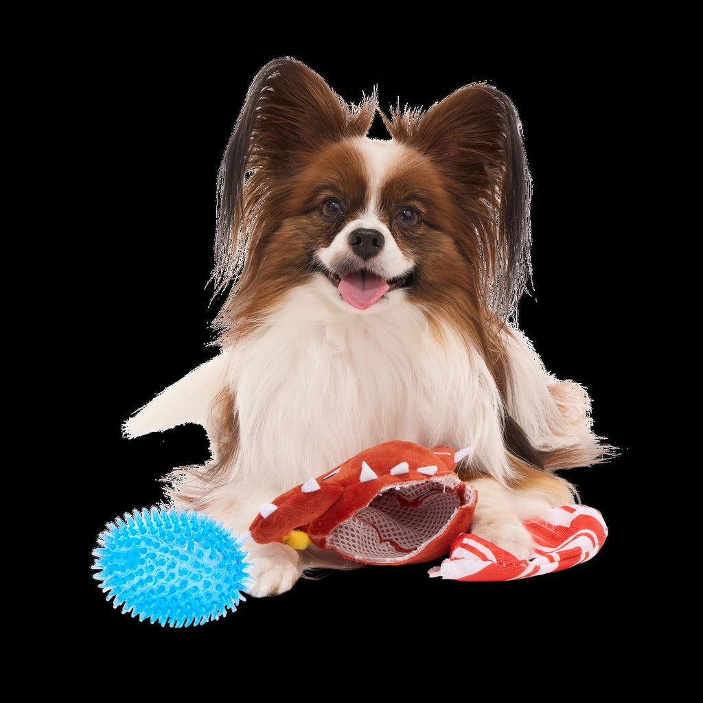 Consuela the Cookie Cactus Plush 2-in-1 Rip and Reveal Dog Toy