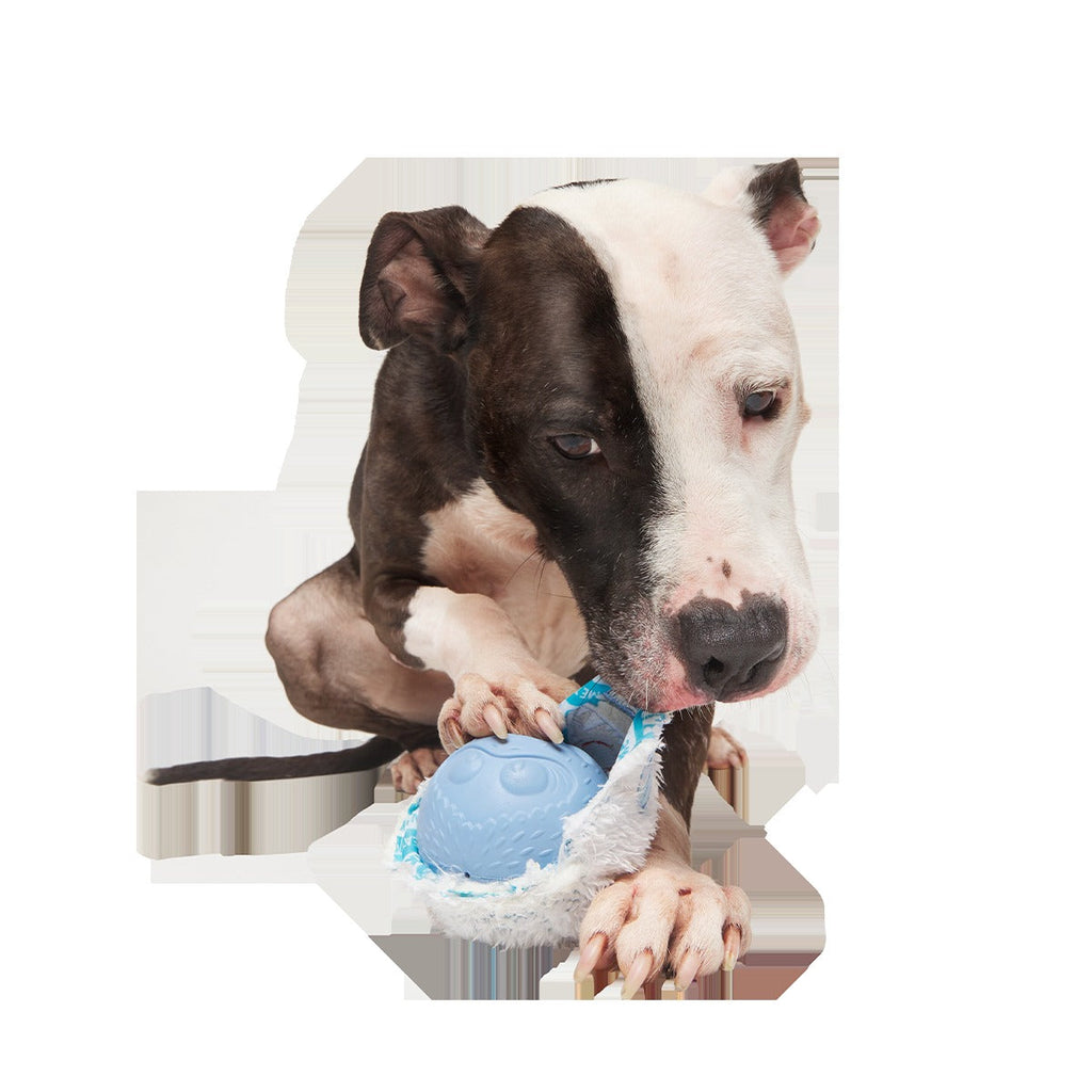 Ruff n' Tumble BumbleTM Super Chewer Durable 2-in-1 + Fetch Dog Toy