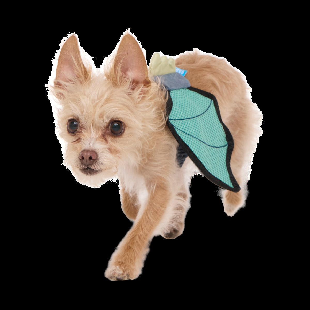 Doggo Dragon Wings Plush Wearable Dog Toy