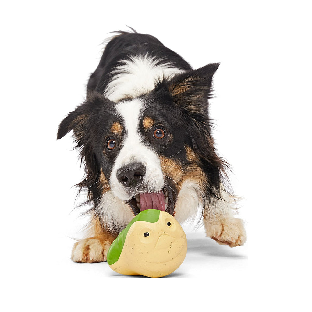 Jabba the Hut TM Slobber Lobber Super Chewer Durable Fetch Dog Toy