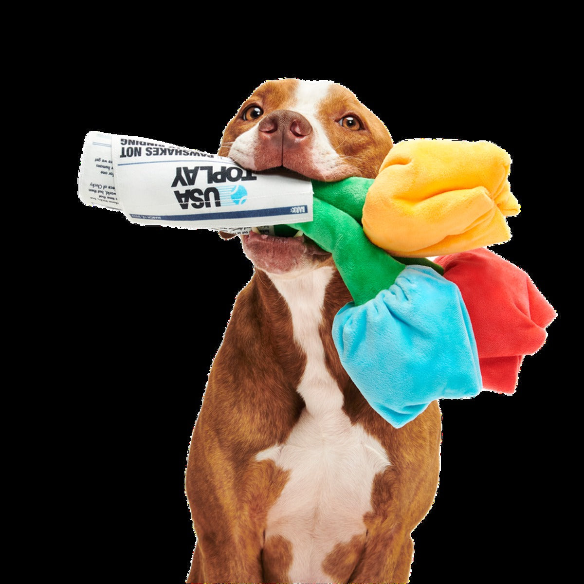 Cheer Up Boopquet Plush Tug + Multi-Part + Enrichment Dog Toy