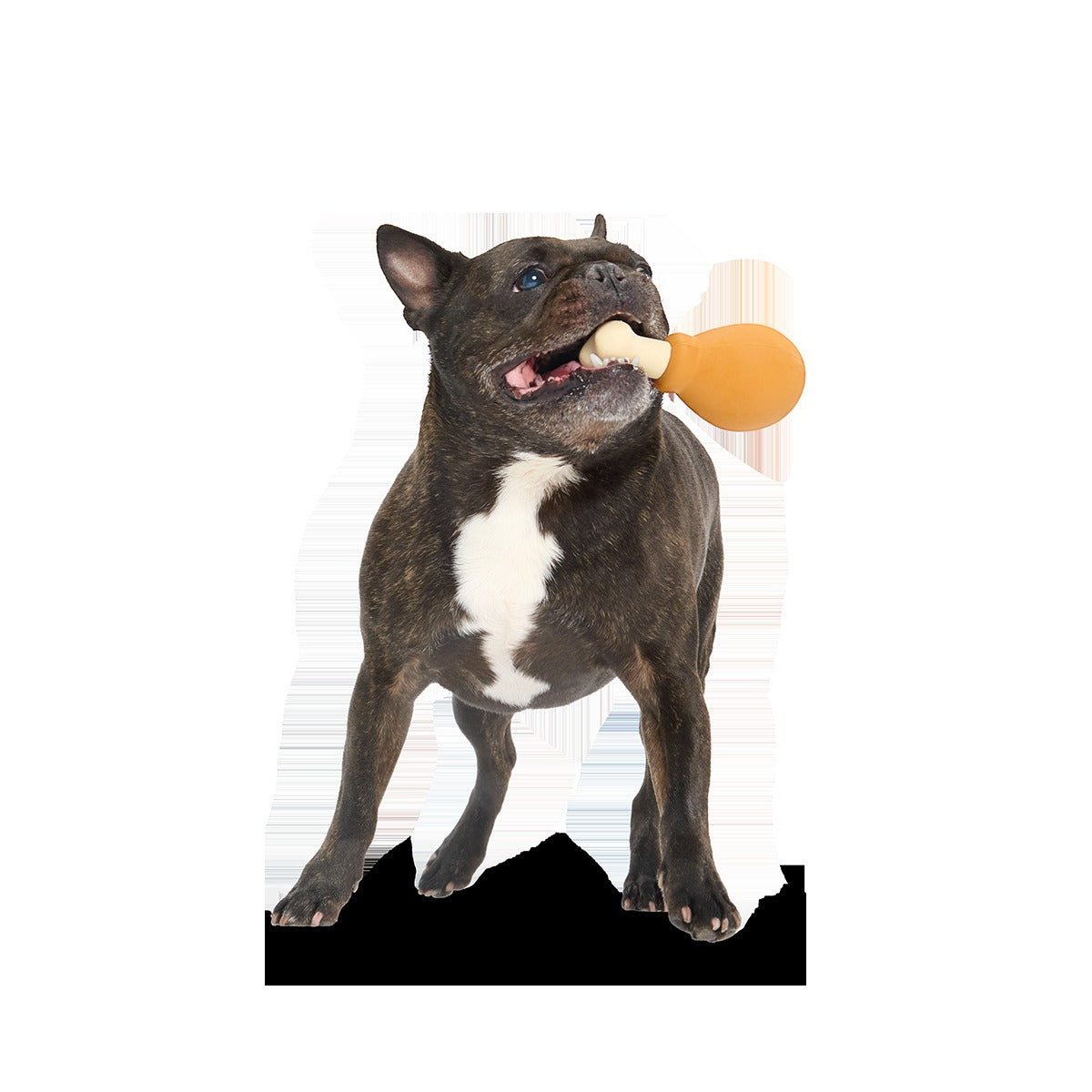 Turkey Day Drumstick Super Chewer Durable Gnaw Dog Toy