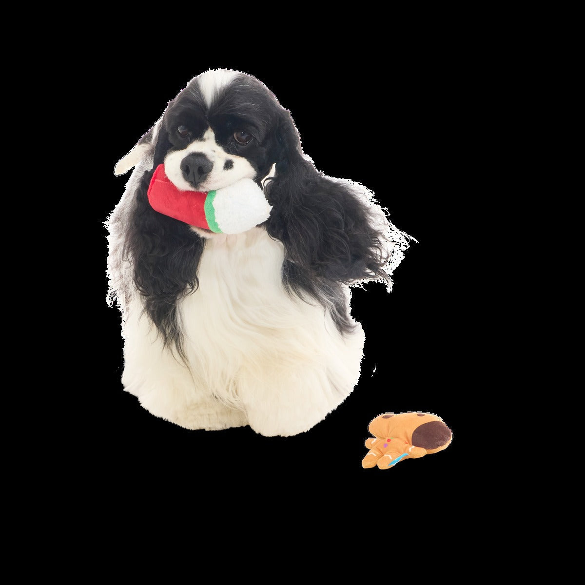 Gingersnoop Latte Multi Part Plush Dog Toy