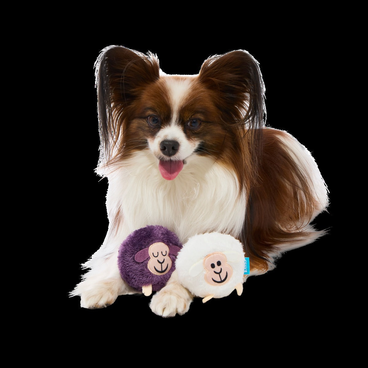 Good Sheep, Baa Sheep Plush Multi-Part + Fetch Dog Toy