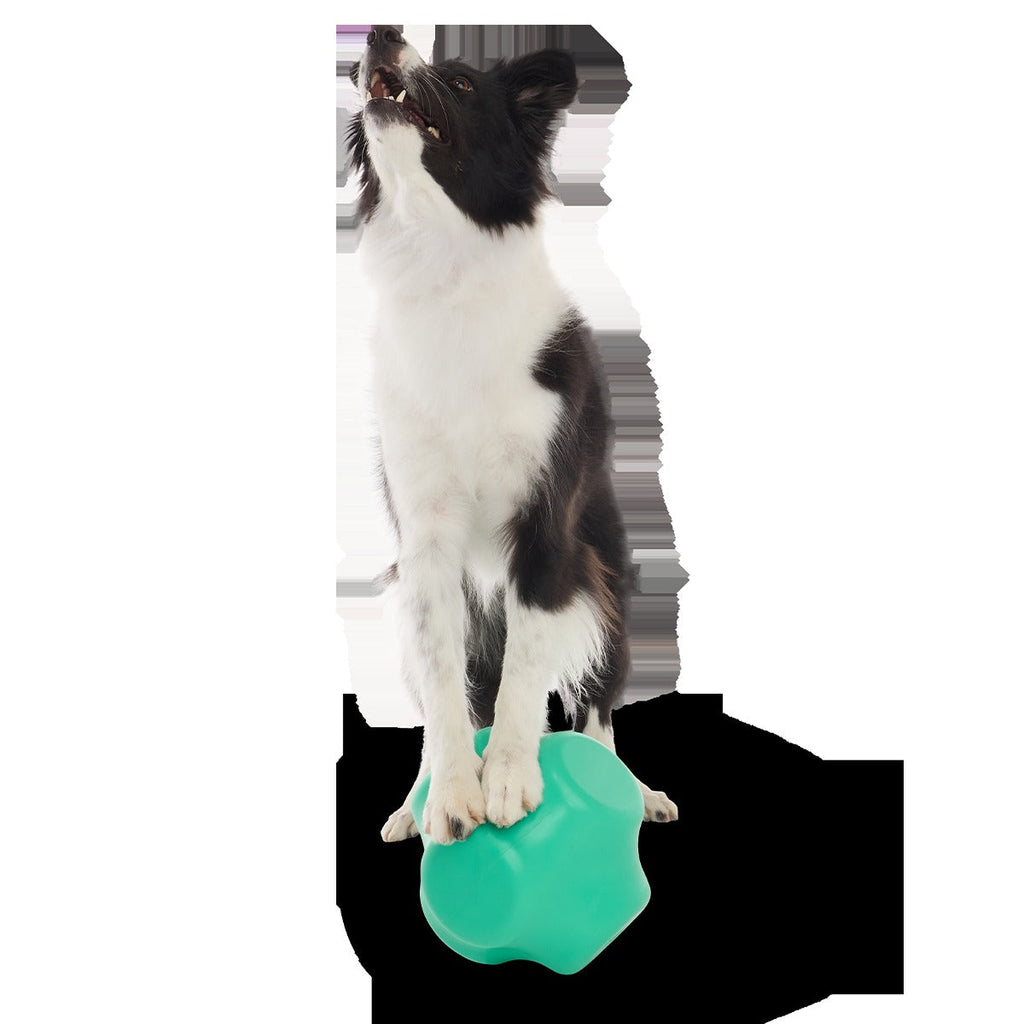 Evergreen Bolder Super Chewer Durable Gnaw Dog Toy
