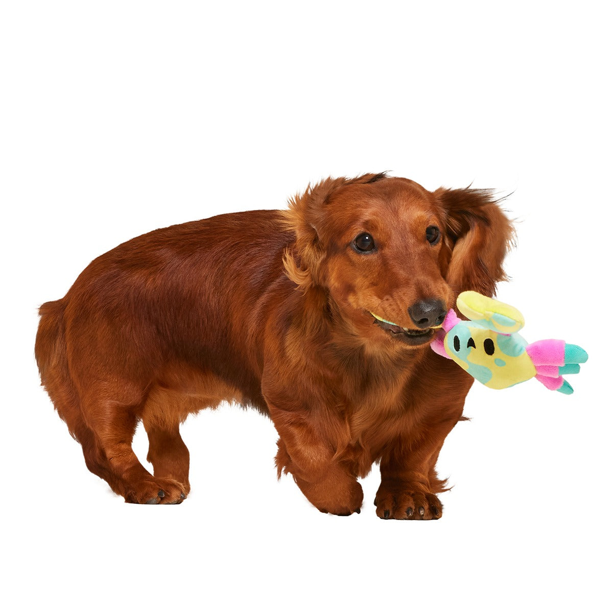 Moe The Mosaic Crab Plush Tug Dog Toy