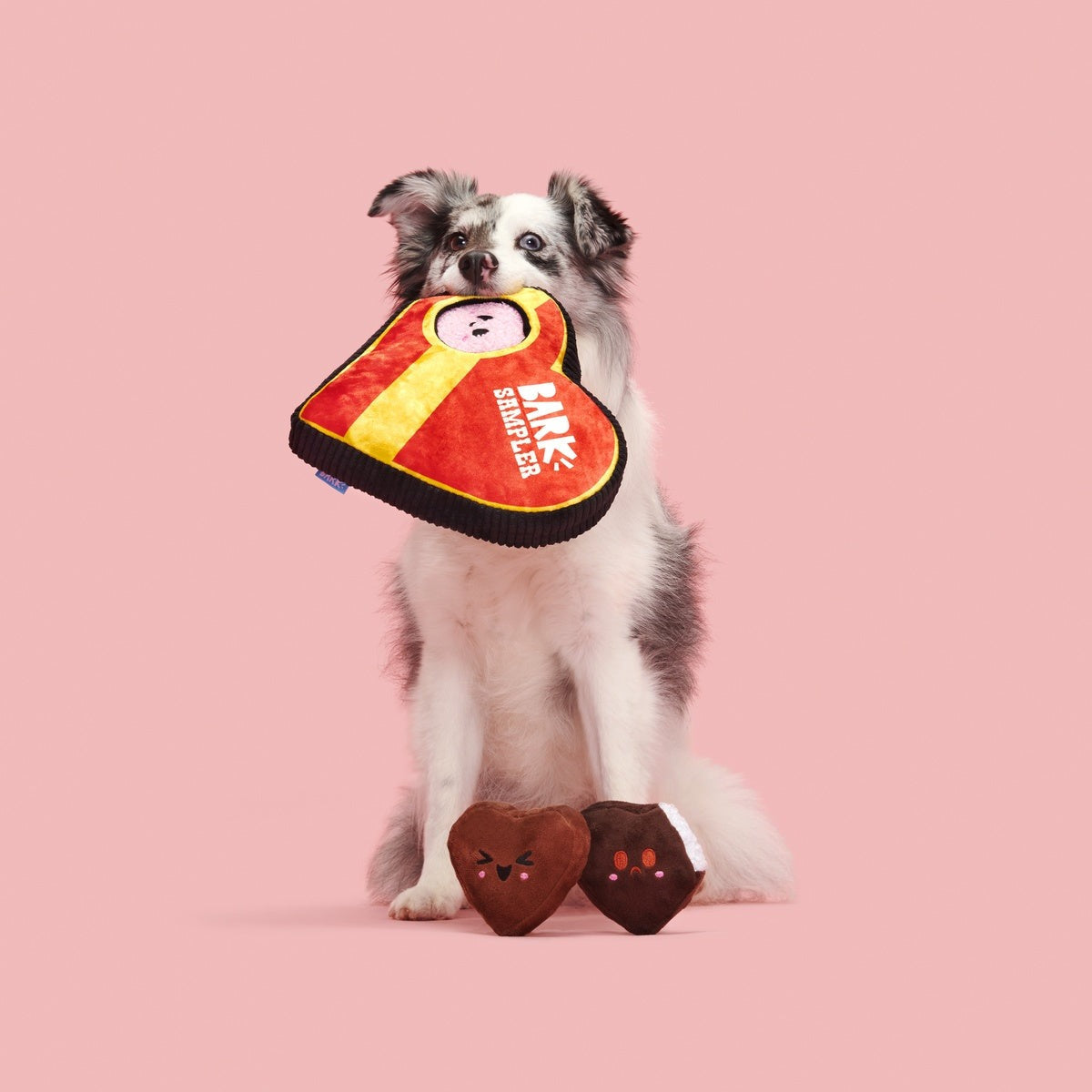 Barks of Chocolates Plush Multi-Part + Enrichment Dog Toy