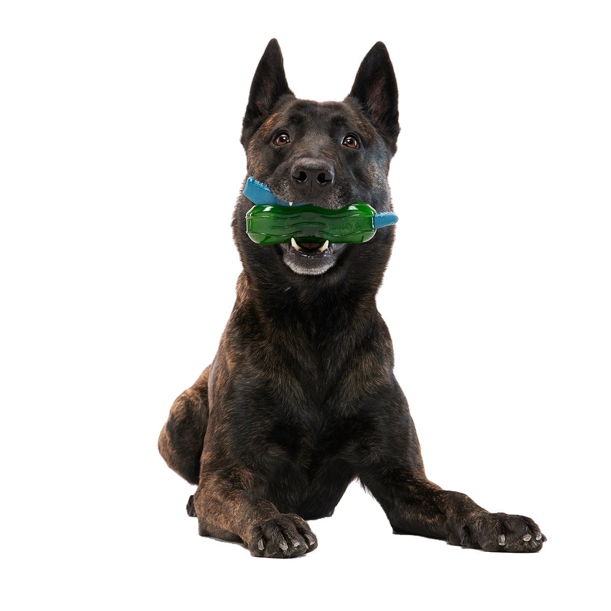 Crocness Monster Super Chewer Durable Gnaw Dog Toy