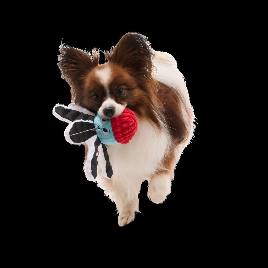 Arctic Ollie Plush Tug Dog Toy