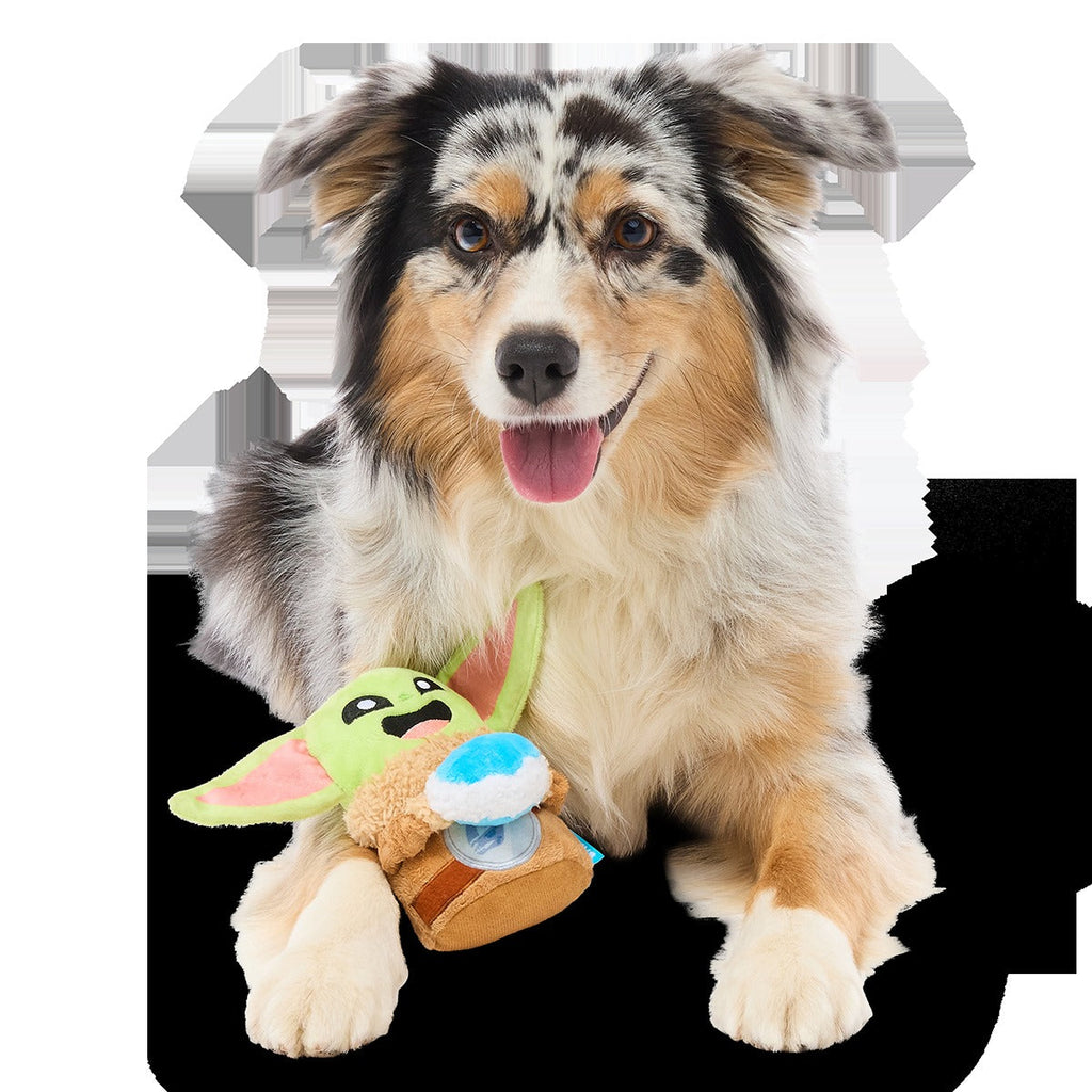 Snack Time GroguTM Plush Tug Dog Toy