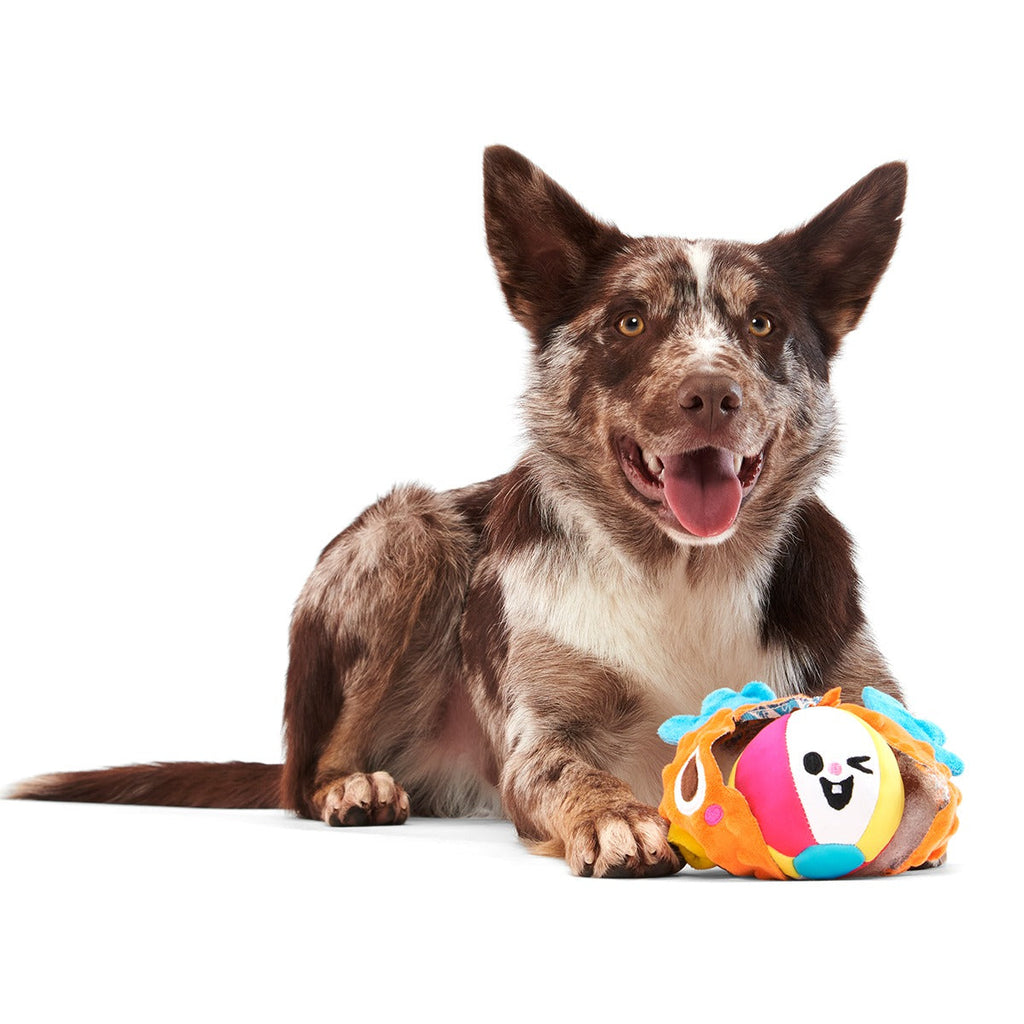 Air Head Plush 2-in-1 + Fetch Dog Toy