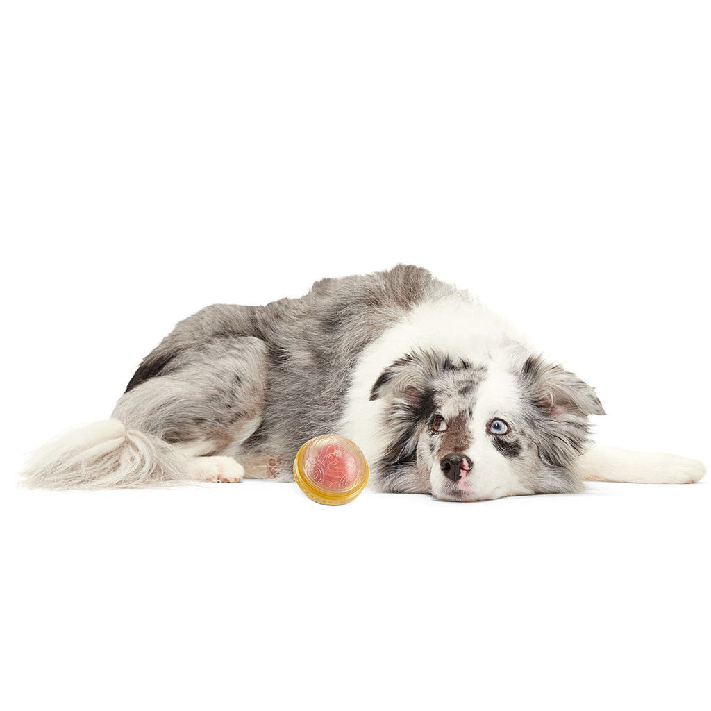RemembrallTM Super Chewer Durable Fetch Dog Toy
