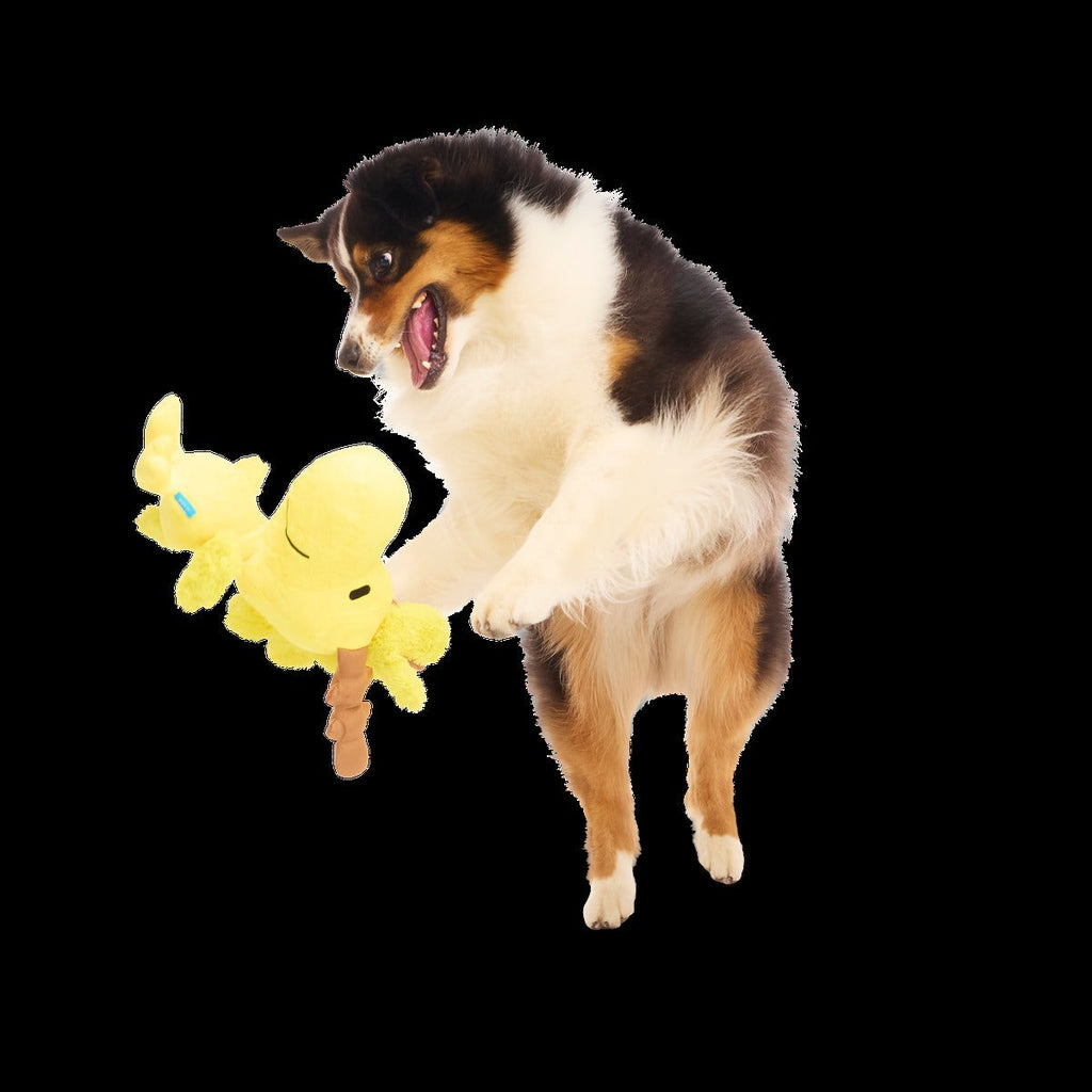 Reinbird Plush Extra-Large + Tug Dog Toy