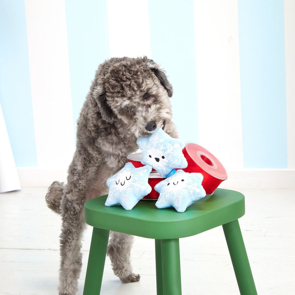 Crystal, Krystle & Cristal Plush Multi-Part Dog Toy