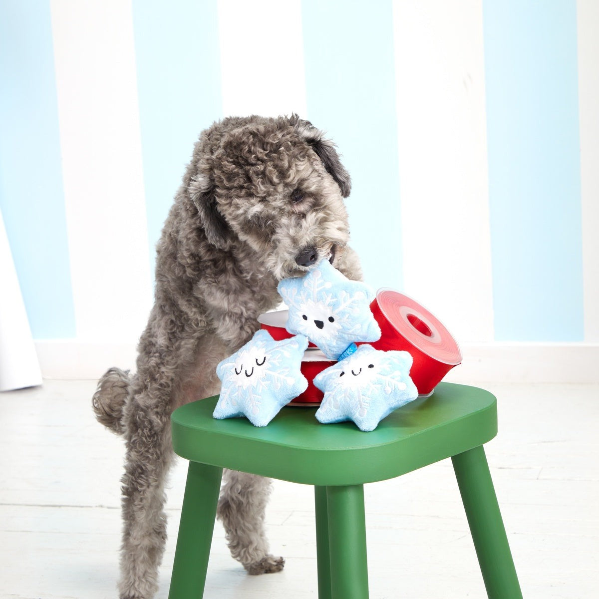 Crystal, Krystle & Cristal Plush Multi-Part Dog Toy