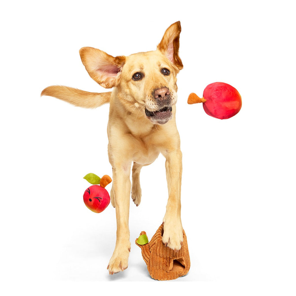Them Apples Plush Multi-Part + Fetch + Enrichment Dog Toy