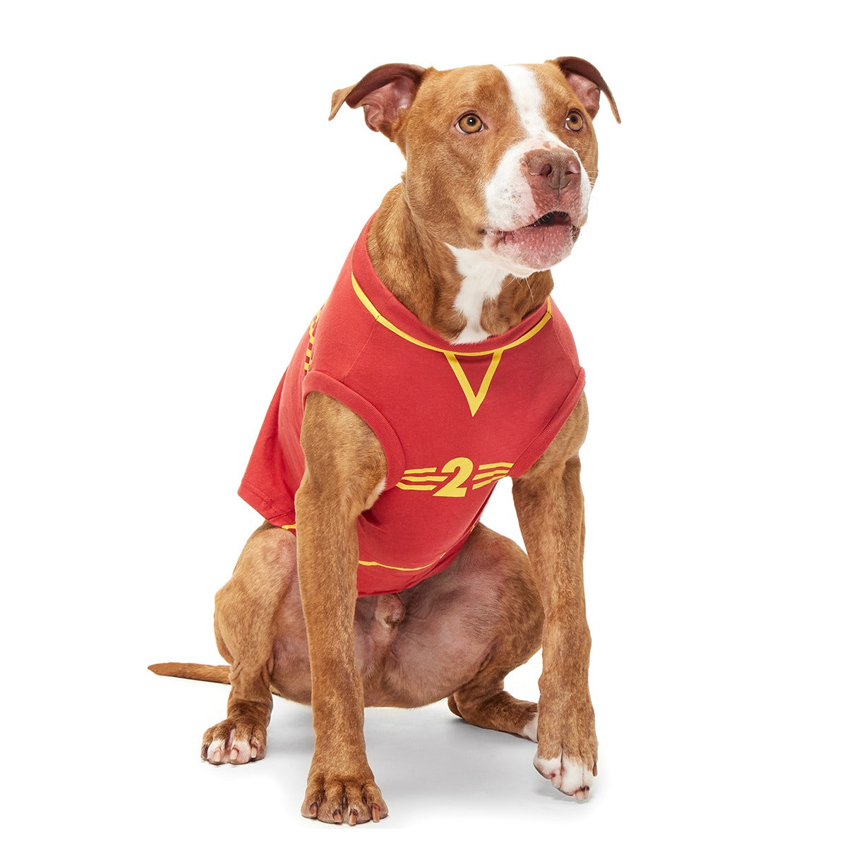 QuidditchTM Jersey